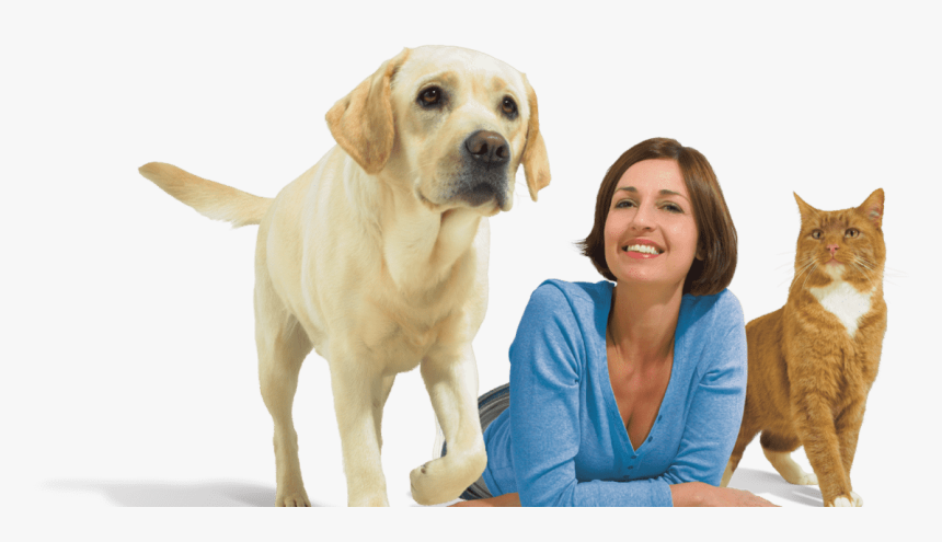 Dog Cat And Woman On White - Woman With Dog And Cat, HD Png Download, Free Download