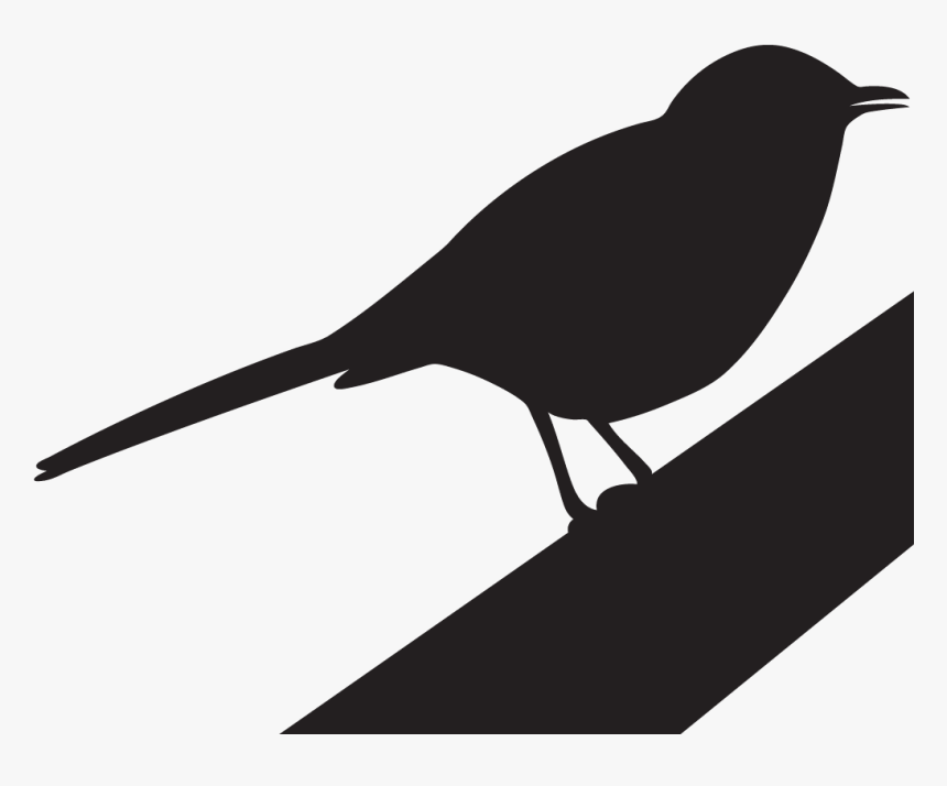 Transparent Trash Dove Png - Mockingbird Images Black And White, Png Download, Free Download