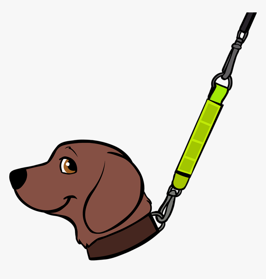 Companion Dog, HD Png Download, Free Download