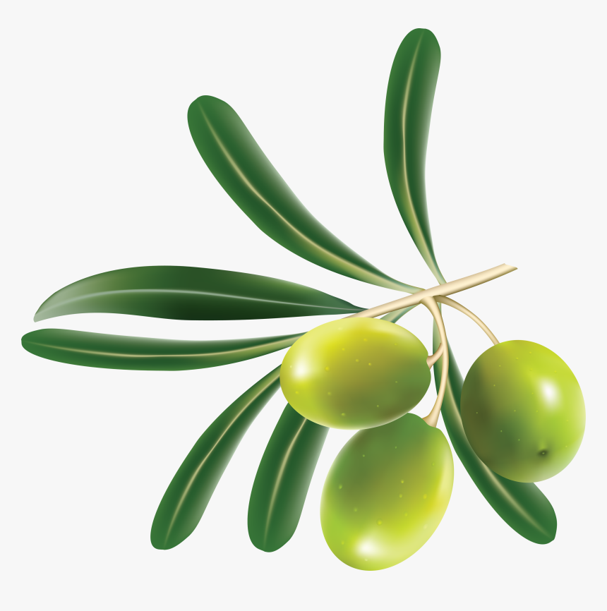 Green Olives Png - Olive Png, Transparent Png, Free Download