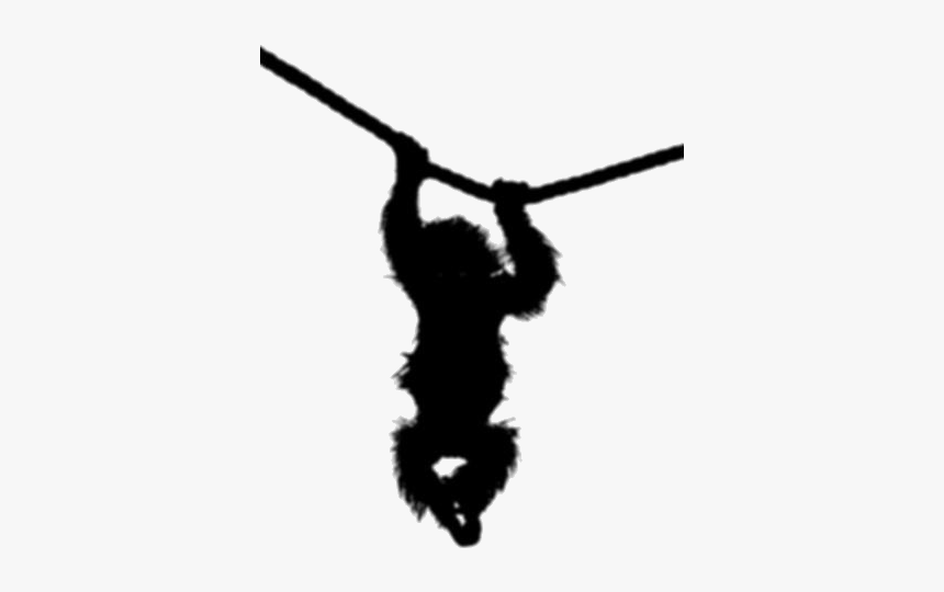 Transparent Real Hanging Monkey Silhouette - Silhouette, HD Png Download, Free Download