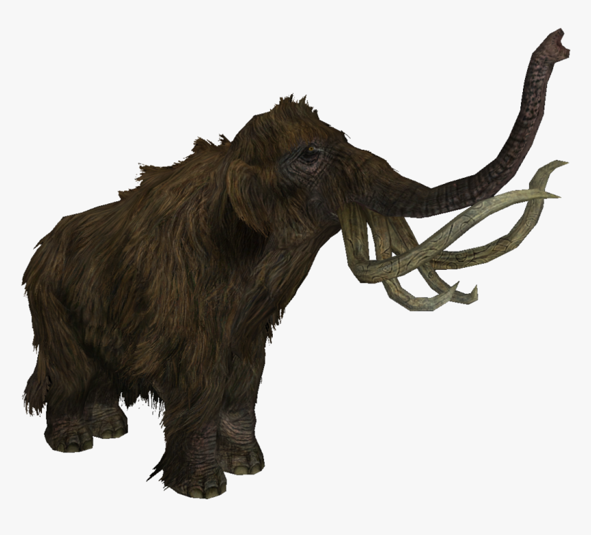 Skyrim Mammoth, HD Png Download, Free Download