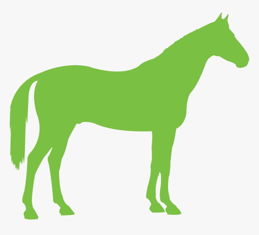 Congratulations To The Following Winners Of A Place - Transparent Green Horse, HD Png Download, Free Download