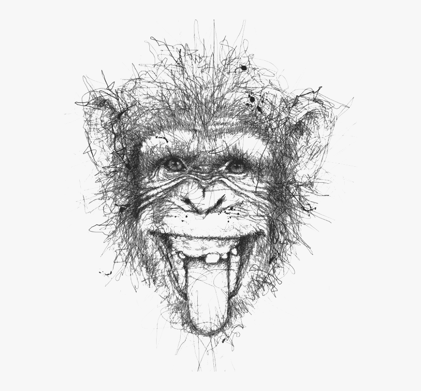 Vince Low Animal, HD Png Download, Free Download