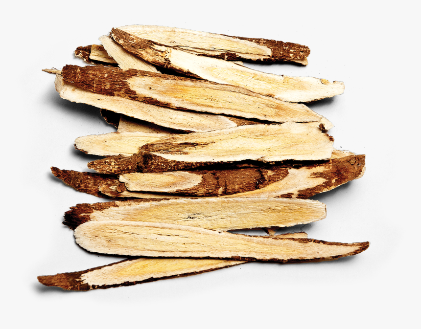 Sliced Astragalus Root - Astragali Radix Png, Transparent Png, Free Download