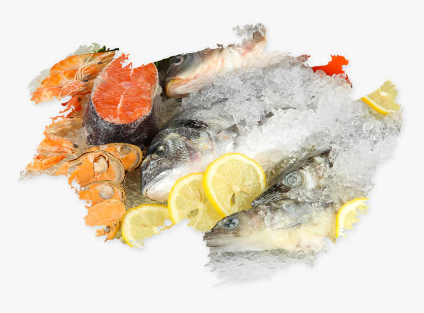 Oily Fish, HD Png Download, Free Download