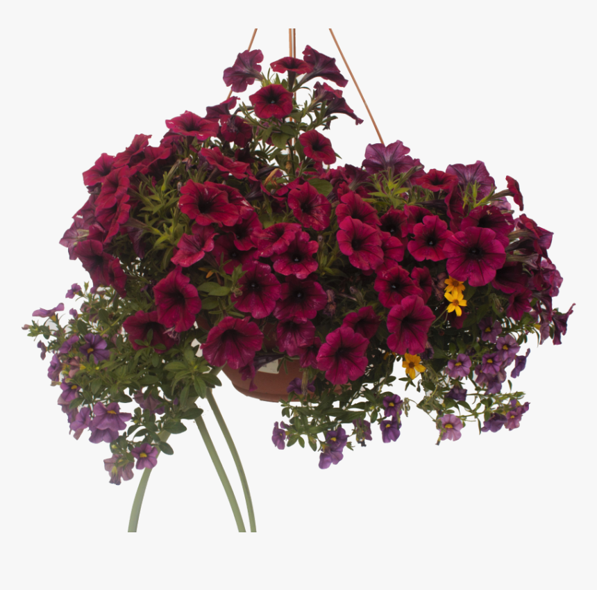 Bouquet, HD Png Download, Free Download