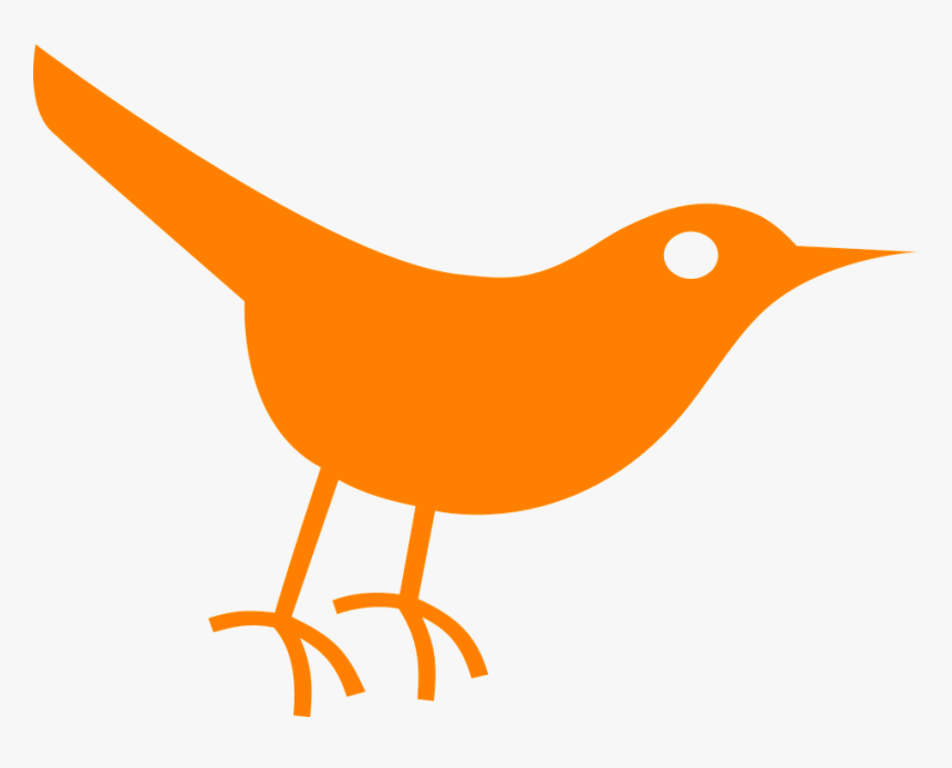 Bird, Twitter, Orange, Sparrow, Pigeon, Dove - Bird Icon Png Free Download, Transparent Png, Free Download