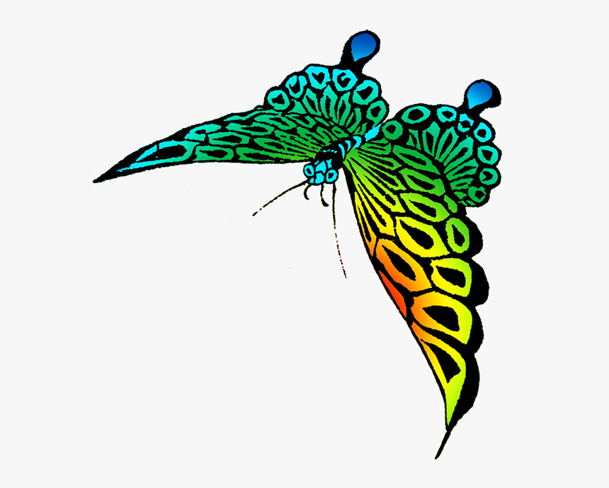 Flying Butterfly Png Image With Transparent Background - Portable Network Graphics, Png Download, Free Download