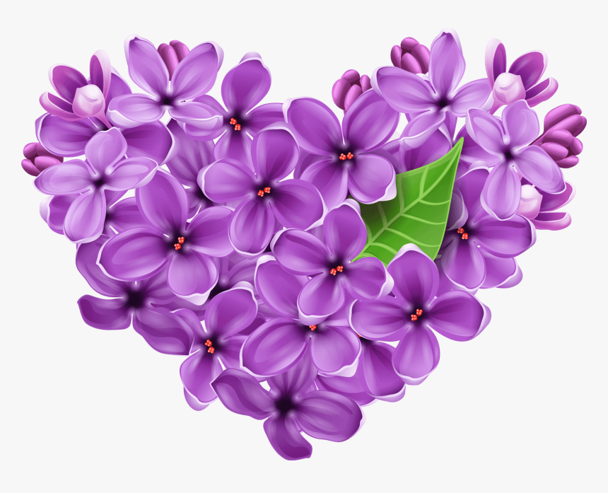 Purple Lilac Png, Transparent Png, Free Download