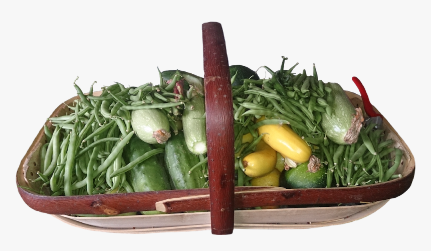 Salad Ways Basket - Green Bean, HD Png Download, Free Download