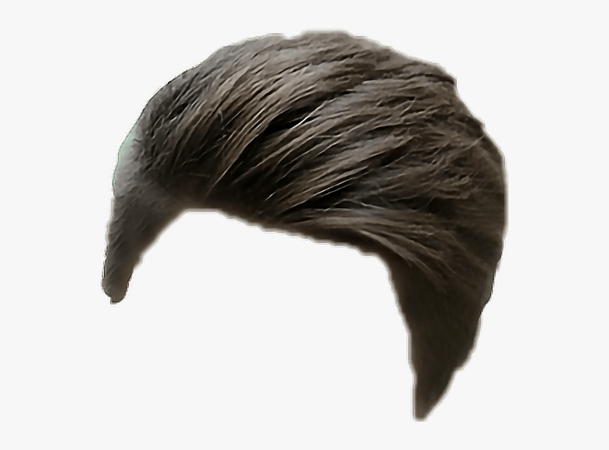 Men Hairstyle Png - Men Hairstyle For Picsart, Transparent Png - kindpng