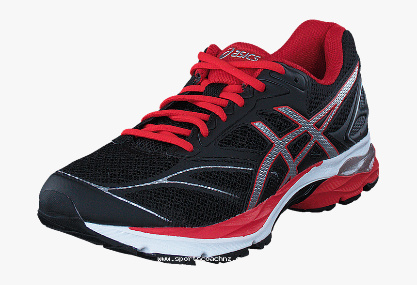 Running Shoe, HD Png Download, Free Download