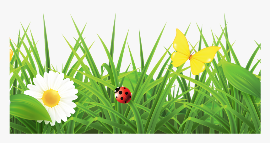 Grass With Flowers Png Hd Png Download Flowers Hd Images Png Transparent Png Kindpng