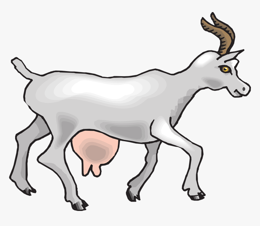 Clipart Baby And Goat, HD Png Download, Free Download