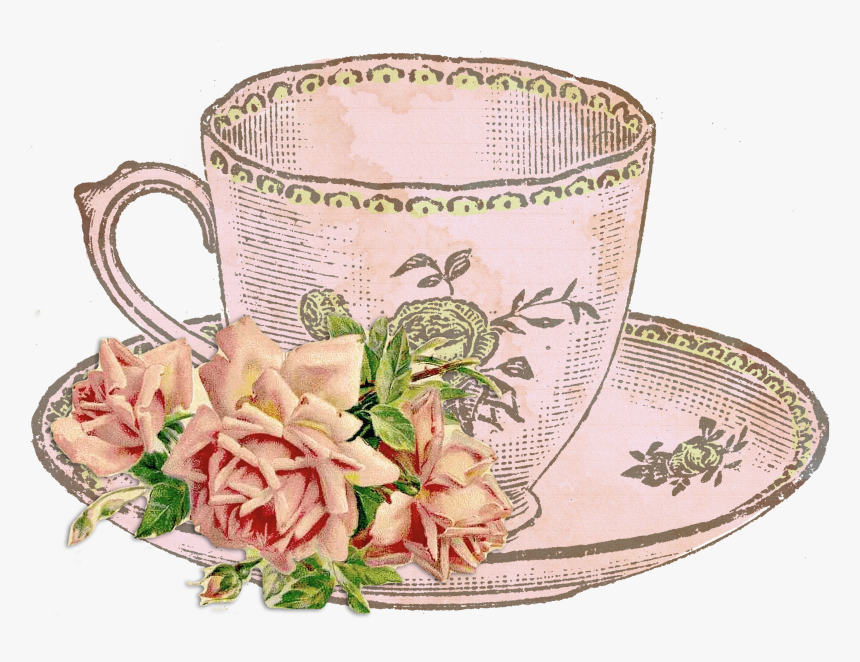 Teacup Clipart Outline Source, HD Png Download, Free Download