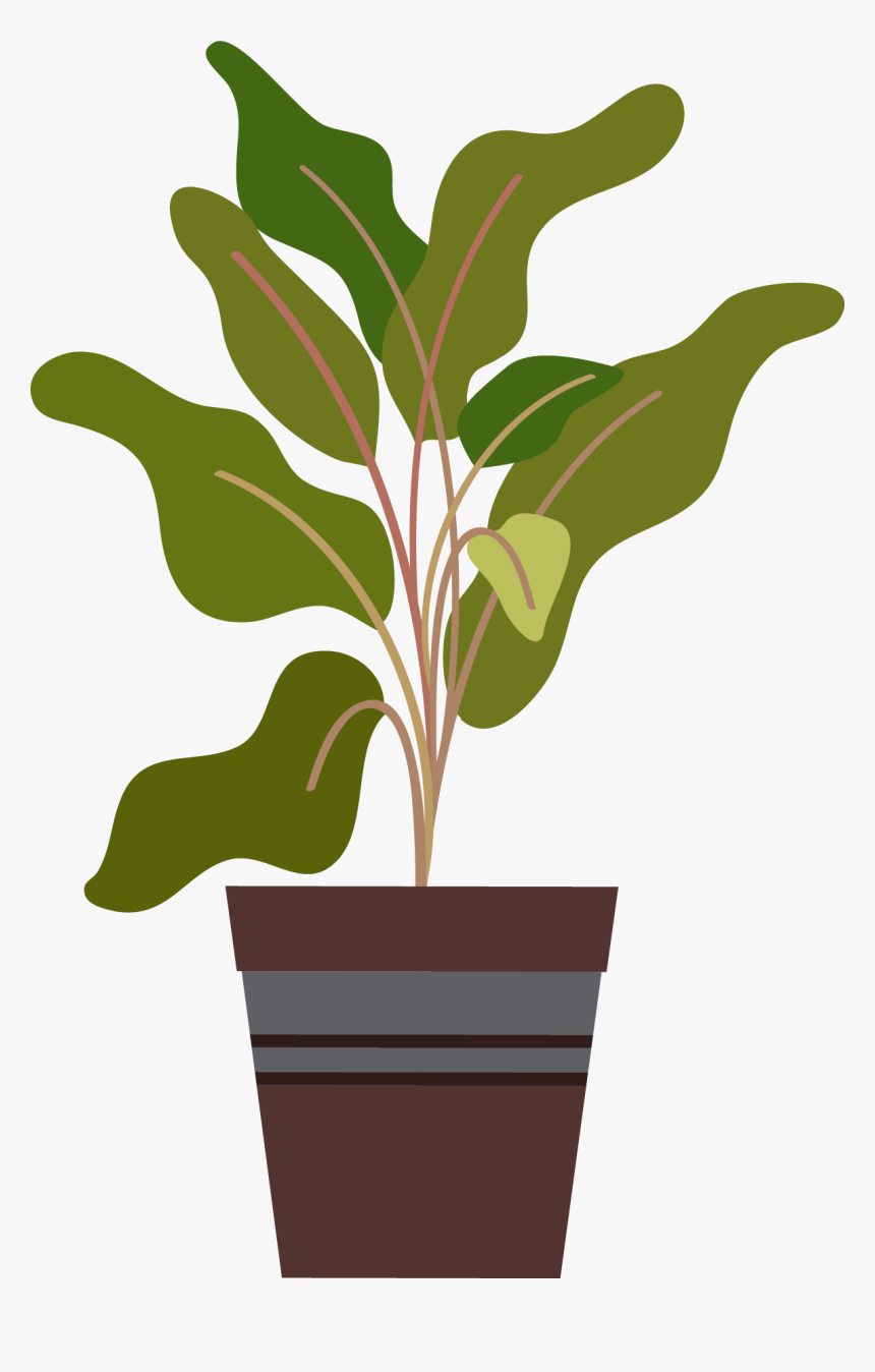 Houseplant, HD Png Download, Free Download