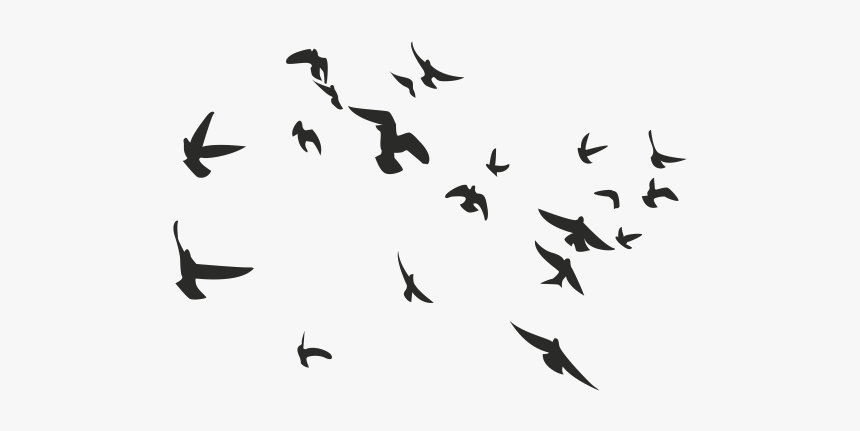 Birds B&w, HD Png Download - Kindpng