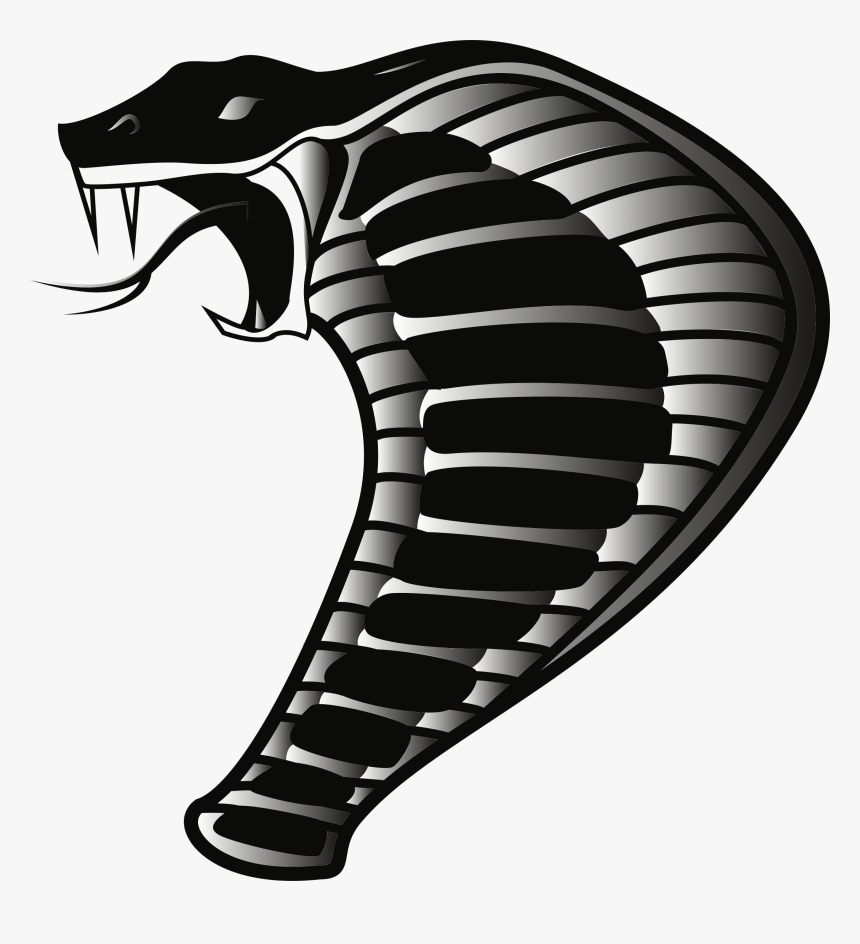 King Cobra Png Pic - Cobra Clipart, Transparent Png, Free Download