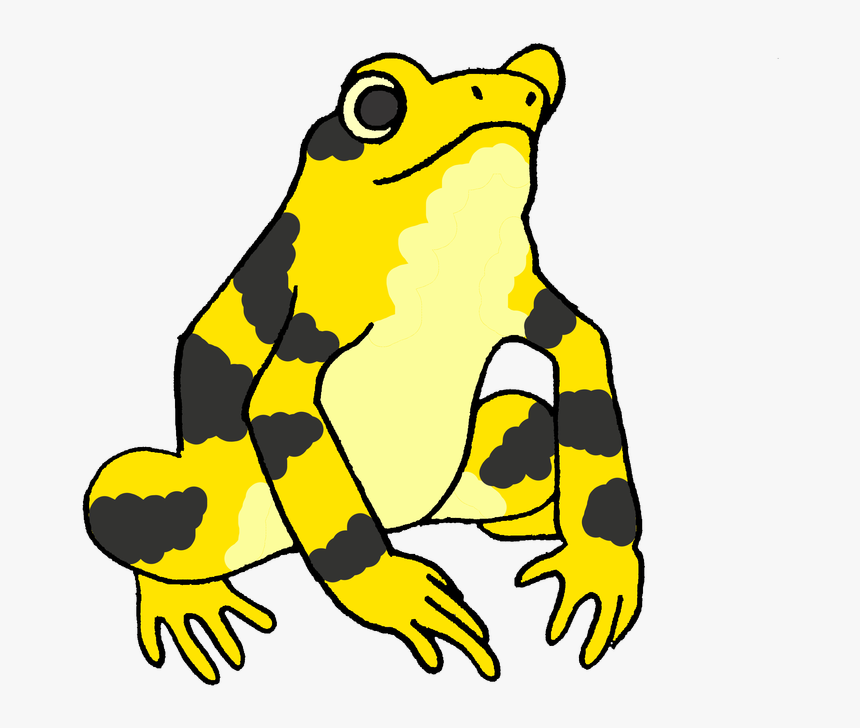 Frogs Clipart Amphibian - Golden Frog Of Panama Clipart, HD Png Download, Free Download