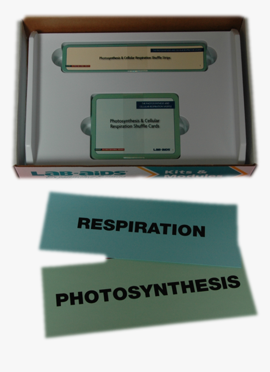 Transparent Photosynthesis Png - 4life Research, Png Download, Free Download