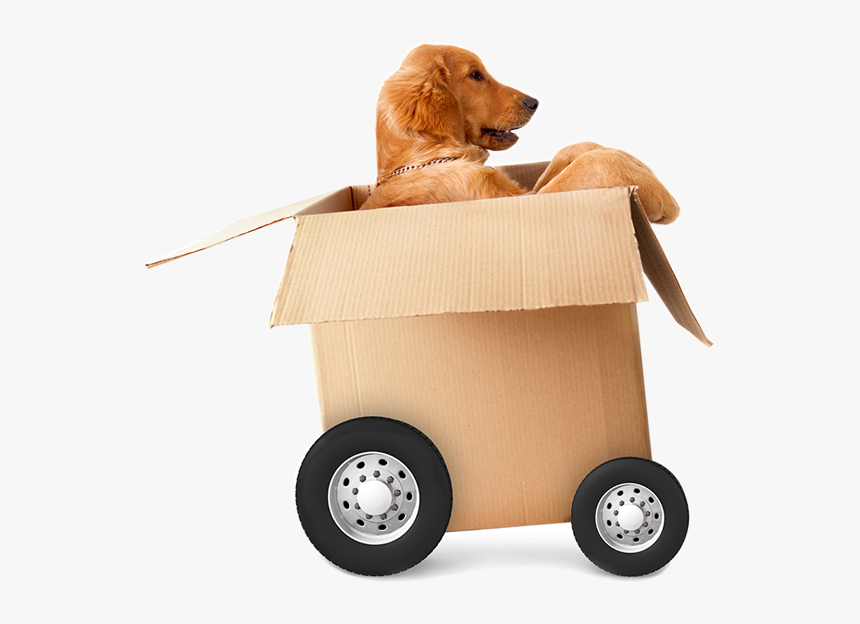 Pet Transport, HD Png Download, Free Download