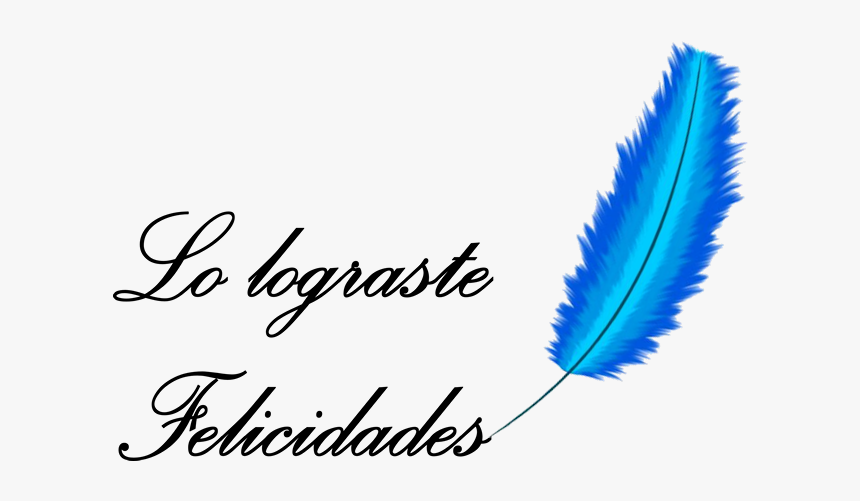 Marcos Para Fotos De Graduacion En Gif - Mi Graduacion Png Letras, Transparent Png, Free Download