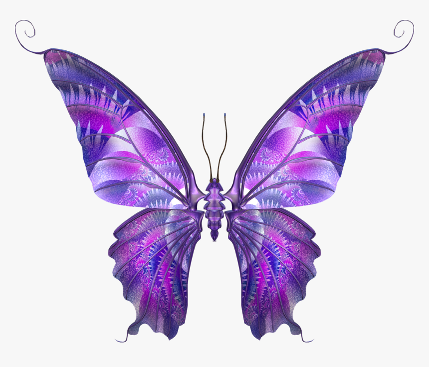 Fotos Hd De Mariposas - Mariposas Moradas Sin Fondo, HD Png Download, Free Download