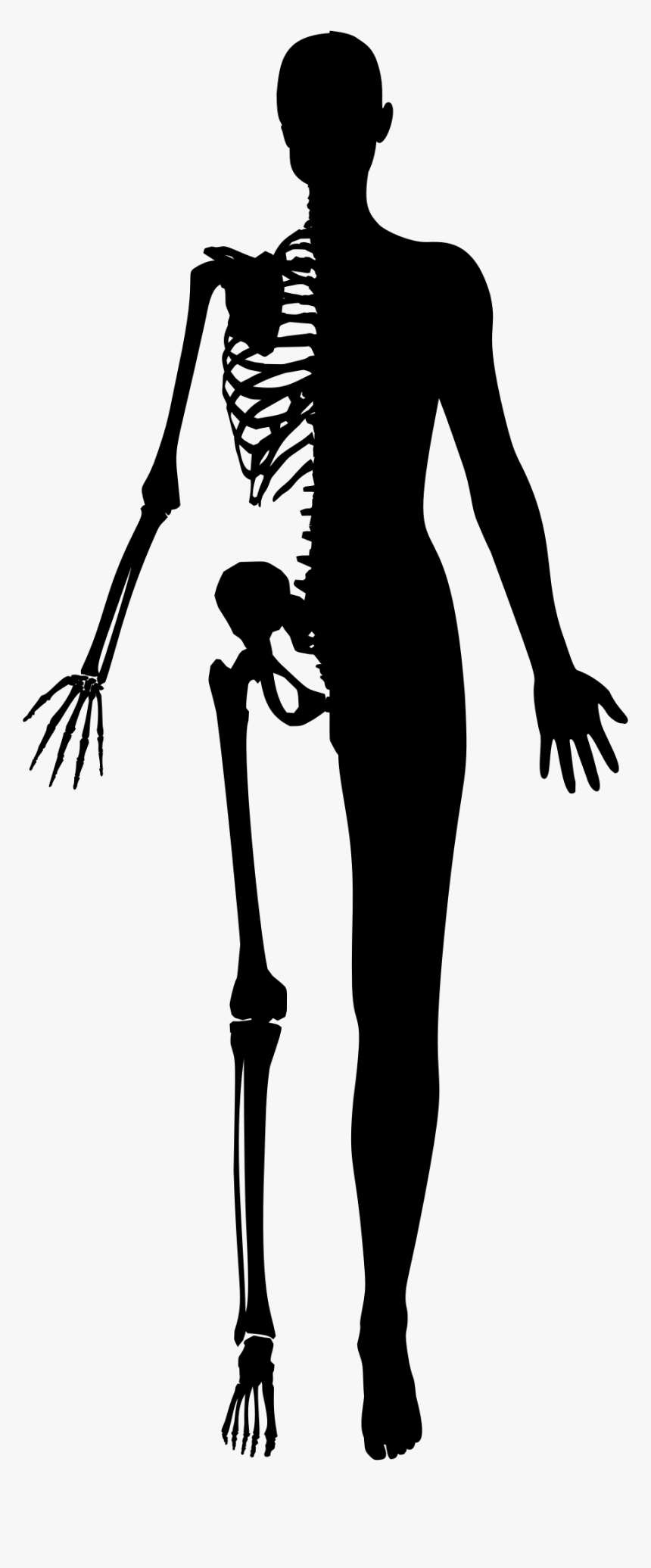 Half Woman Silhouette Big - Half Skeleton Half Human, HD Png Download, Free Download