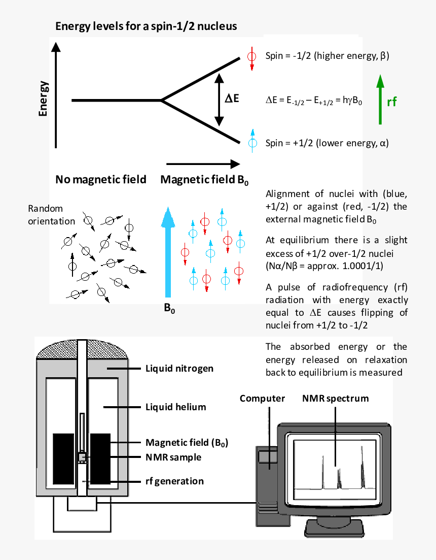 Spin 1 2 Nuclei Nmr, HD Png Download, Free Download