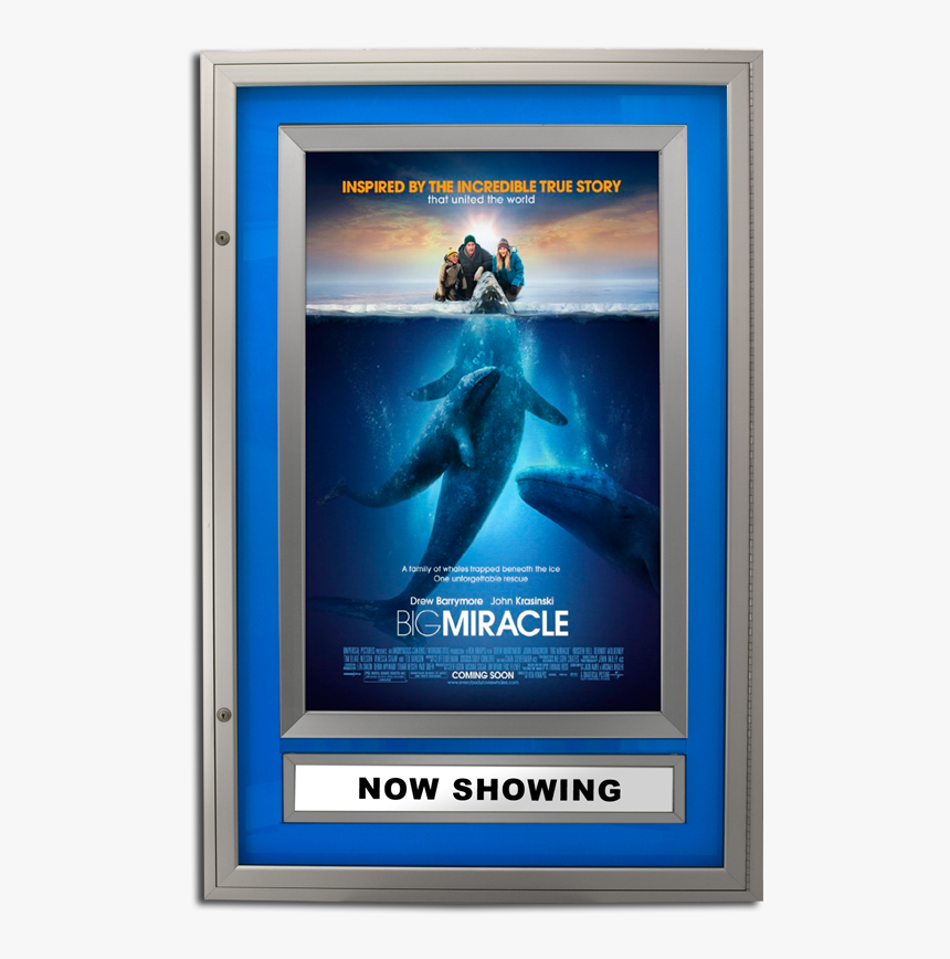 Halolite Series - Big Miracle, HD Png Download, Free Download