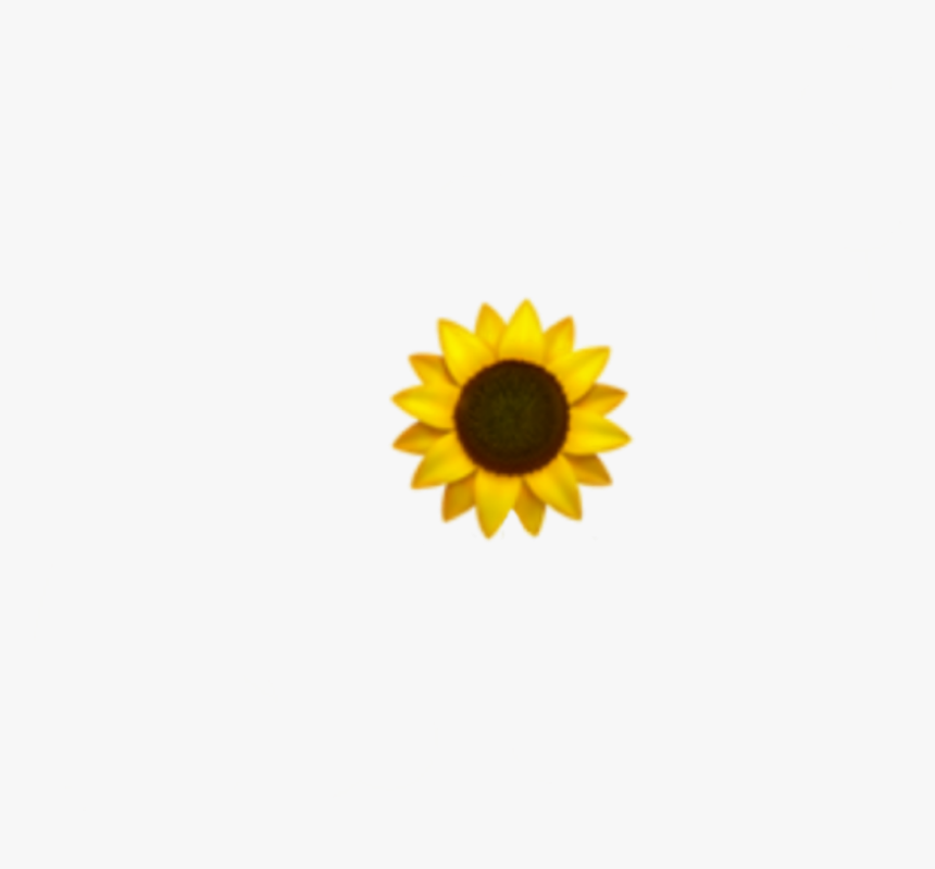girasol #sunflower #emoji #flor - Sunflower, HD Png Download - kindpng