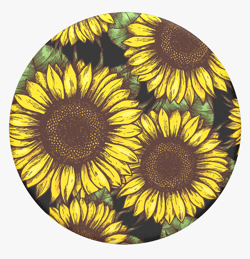 Poder De Girasol, Popsockets - Sunflower Popsocket, HD Png Download ...