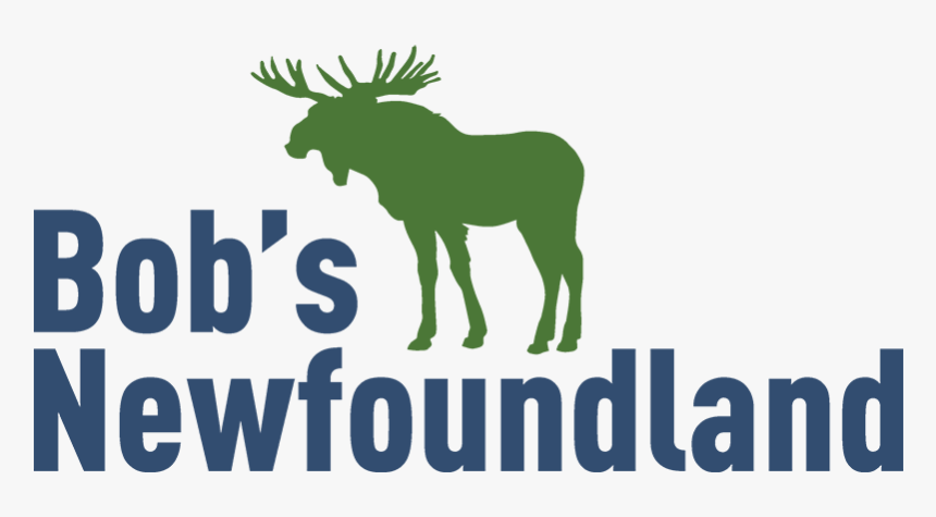 Bob"s Newfoundland - Elk, HD Png Download, Free Download