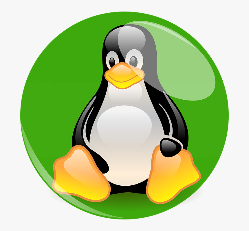 Green Penguin, Linux, Mascot, Cartoon Character, Fig, - Linux Pinguin, HD Png Download, Free Download