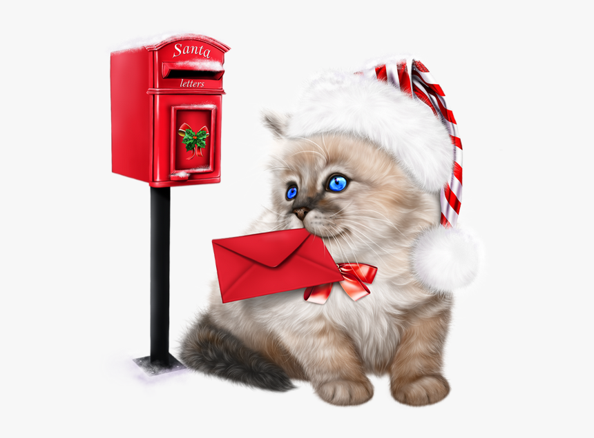 Tube Noël - Ragdoll Kittens Clipart, HD Png Download, Free Download