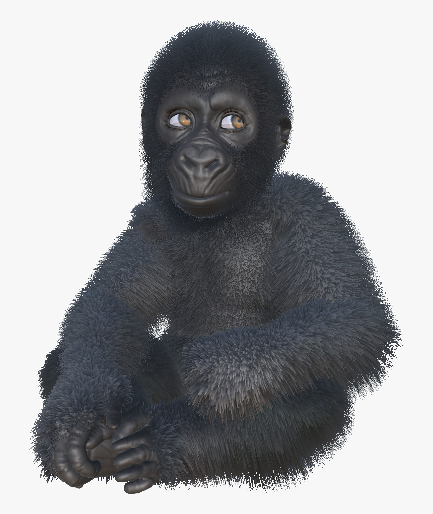 Gorillas Ar Game Ellen Degeneres - Mountain Gorilla, HD Png Download, Free Download