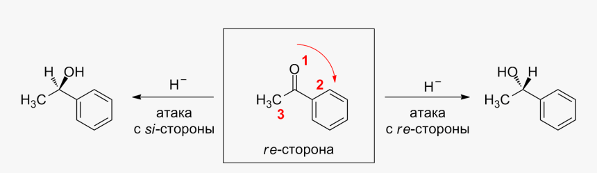 Acetophenone Enantiotopic Faces - Re Face Of Acetophenone, HD Png Download, Free Download