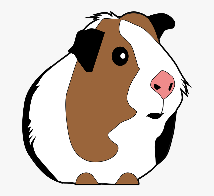 Guinea Pig, Guinea Pig Vector, Guinea Pig Art, Pig - Cute Guinea Pig Clipart, HD Png Download, Free Download