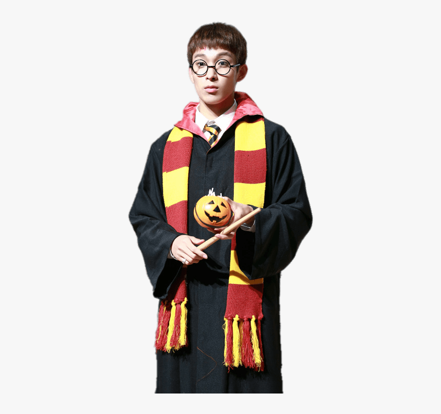 Dk 2024 harry potter