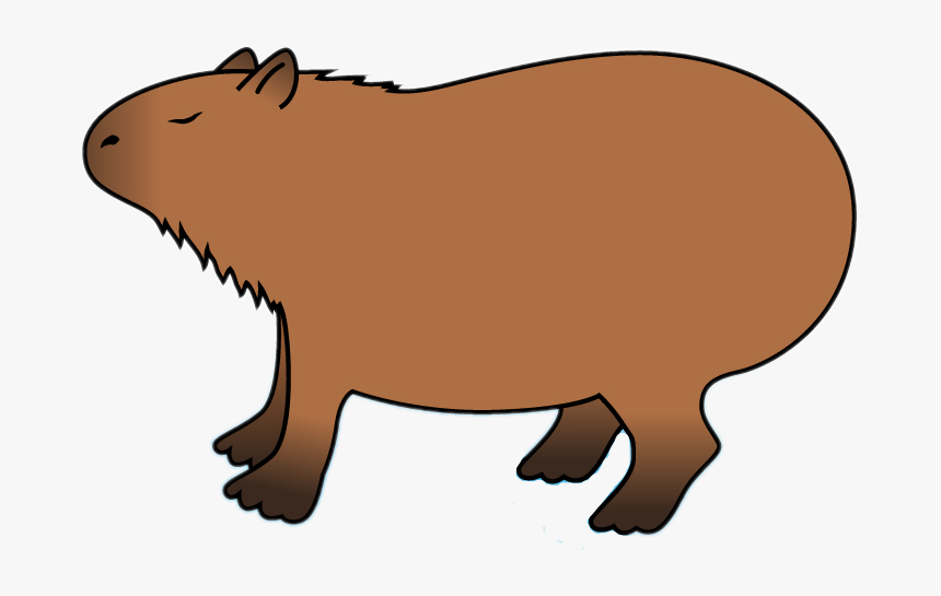 Transparent Capybara Clipart Capybara Cartoon Transparent, HD Png