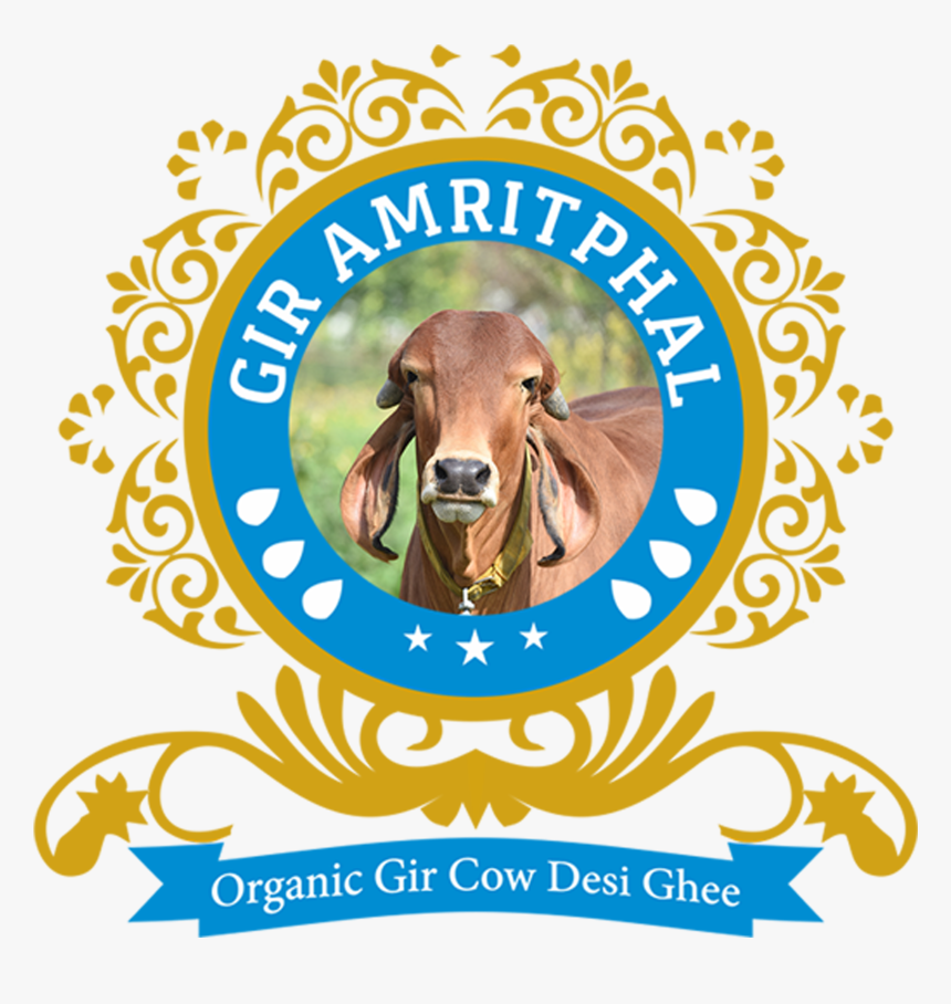 Animal , Png Download - Cow-goat Family, Transparent Png, Free Download