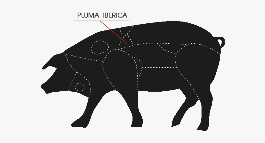 Aljomar Pluma Iberica, HD Png Download, Free Download