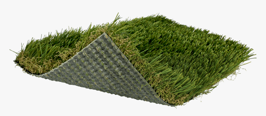 Lawn, HD Png Download, Free Download