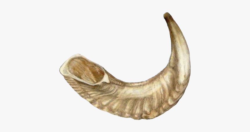 Shofar Png, Transparent Png, Free Download