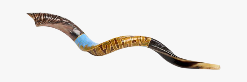 Jerusalem Painted Shofar - Weapon, HD Png Download, Free Download