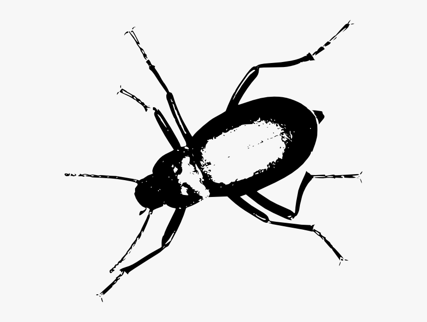 Darkling Beetle Svg Clip Arts - Darkling Beetle Png, Transparent Png, Free Download