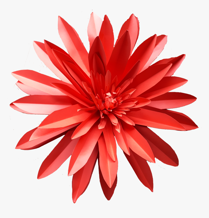 Dahlia, HD Png Download, Free Download