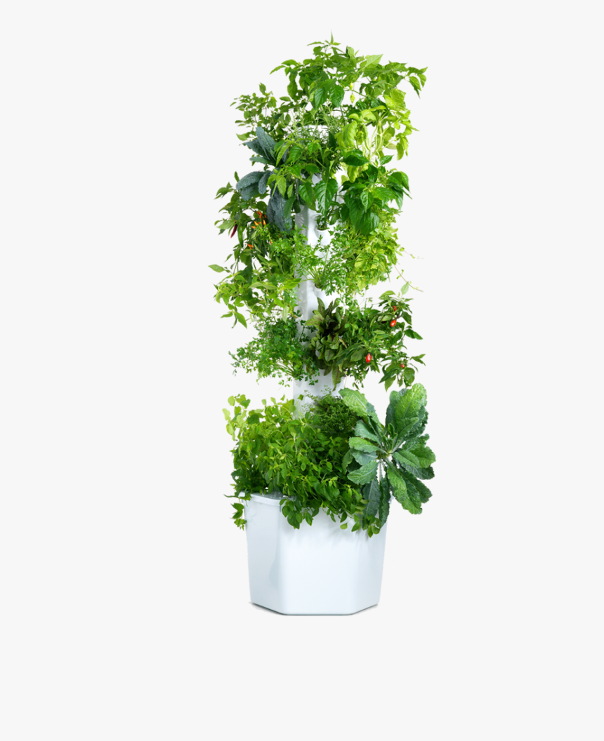 Vertical Garden Png - Aeroponic Column Aerospring, Transparent Png, Free Download