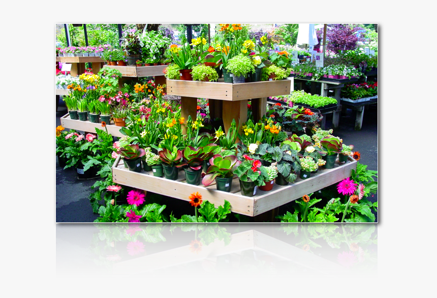 Plant Nursery In Mumbai, HD Png Download, Free Download